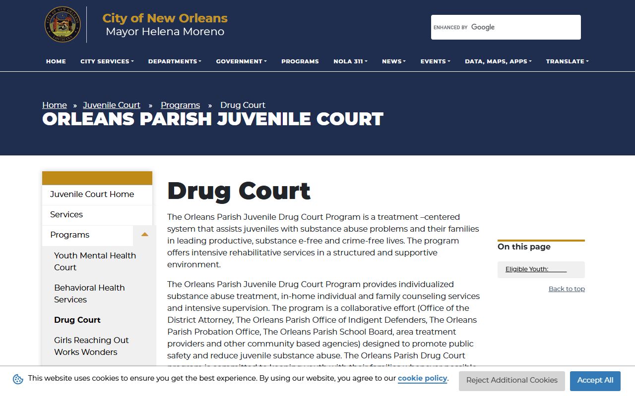 Orleans Parish district court juvenile drug court program